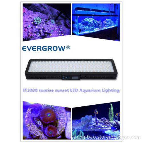 Simulate Sunrise Sunset Moonlight It2080 240W Auto Dimmable LED Aquarium Light